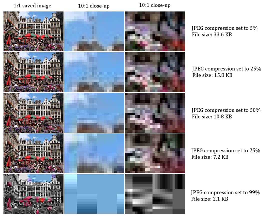 The same photograph saved at several JPEG quality levels, showing increasing compression artifacts as file size decreases
